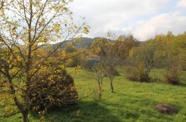 Stara istarska kuća za adaptaciju sa 40000m2 zemljišta, Pazin - Okolica, Haus