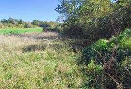 Istra Barban okolica građevinsko zemljište., Barban, أرض