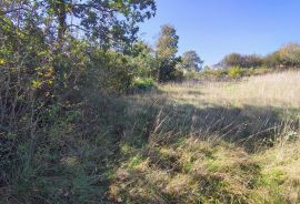 Istra Barban okolica građevinsko zemljište., Barban, Terrain