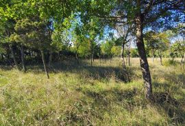 Istra Barban okolica građevinsko zemljište., Barban, Land