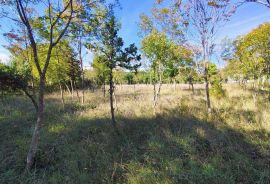 Istra Barban okolica građevinsko zemljište., Barban, Land