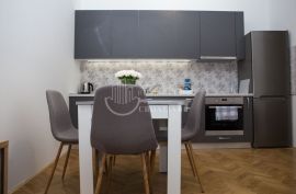 Prodaja, Maksimir, Štoosova, stan sa velikim poslovnim potencijalom, Zagreb, Appartement