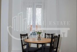 Prodaja, Maksimir, Štoosova, stan sa velikim poslovnim potencijalom, Zagreb, Appartment