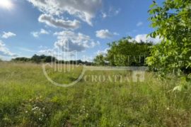 Prodaja Istra, Barban, Rojnići, građevinsko-poljoprivredno zemljište 5143m2, Barban, Terrain