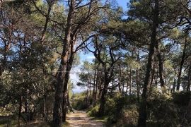 Mali Lošinj - Kuća, 42 m2, Mali Lošinj, Σπίτι