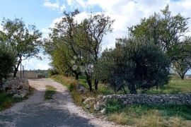 DONJE POLJE - Građevinsko zemljište 2500 m2, Šibenik - Okolica, Terreno