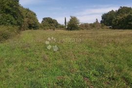 Poljoprivredno zemljište u blizini sela, Barban, Terreno