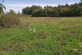 Poljoprivredno zemljište u blizini sela, Barban, Terreno