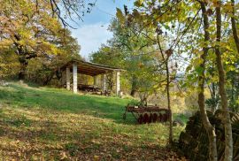 Cerovlje, kamena kuća za obnovu s pogledom, Cerovlje, House