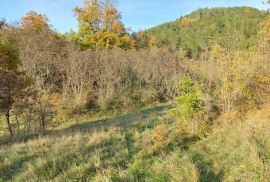 Cerovlje, kamena kuća za obnovu s pogledom, Cerovlje, Ev