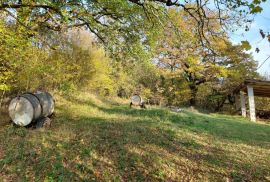 Cerovlje, kamena kuća za obnovu s pogledom, Cerovlje, Famiglia