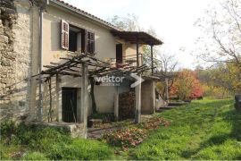 Veliko zemljište sa starinom u okolici Pazina, Pazin - Okolica, House