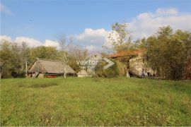 Veliko zemljište sa starinom u okolici Pazina, Pazin - Okolica, House