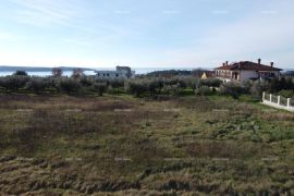 Stan Apartman s krovnom terasom - Residencija Novi Home Novigrad, Novigrad, Kвартира