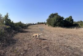 Istra, okolica Marčane, poljoprivredno zemljište, Marčana, Zemljište