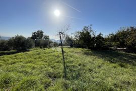 BUJE OKOLICA, ZEMLJIŠTE SA NAJLJEPŠIM POGLEDOM!, Buje, أرض