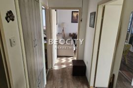 Novi Sad, Detelinara, Veselina Masleše, 2.0, 53m2, Novi Sad - grad, Apartamento