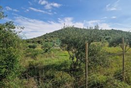 Građevinsko zemljište PRODAJA Donja Jagodnja, 3173 m2, Polača, Tierra