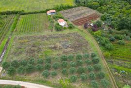 Rovinj,4km od centra,dva legalizirana objekta u kampanji-10350m2, Rovinj, Kuća