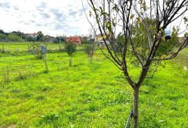 Poljoprivredna parcela,voda na terenu, Umag, Land