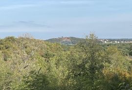 Vrsar - okolica, građevinsko zemljište s otvorenim pogledom, Vrsar, Tierra