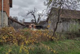 Pristupačno i odmah useljivo, Gvozd, Σπίτι