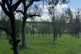 Prostrana kuća sa poslovnim prostorom, Veliki Grđevac, Kuća