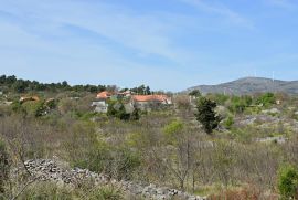 GRAĐEVNO ZEMLJIŠTE DRAŽICE, SEGET GORNJI, Seget, Tierra