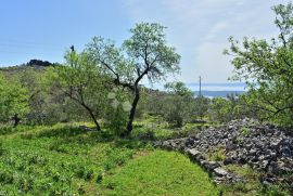 GRAĐEVNO ZEMLJIŠTE DRAŽICE, SEGET GORNJI, Seget, Tierra