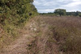 2,5 ha zemljišta na odličnoj lokaciji, Kanfanar, Zemljište