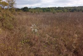 2,5 ha zemljišta na odličnoj lokaciji, Kanfanar, Zemljište