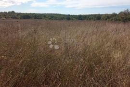 2,5 ha zemljišta na odličnoj lokaciji, Kanfanar, Zemljište