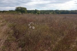 2,5 ha zemljišta na odličnoj lokaciji, Kanfanar, Zemljište