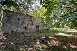 STARINA SA POTENCIJALOM ZA ODLIČAN PRIHOD, Lupoglav, Σπίτι