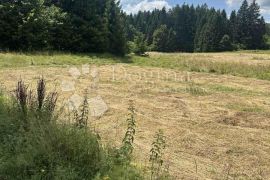 Zemljište za obiteljsku kuću Delnice, Delnice, Land