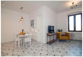 Stan u centru - idealan za poslovne ljude, Rijeka, Appartement