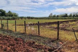 Prekrasno imanje u Marčani, Marčana, Terra