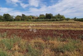 Prekrasno imanje u Marčani, Marčana, Terra