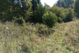 PRILIKA ZEMLJIŠTE 44.000, Delnice, Land