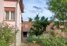 Obiteljska kuća s poslovnim potencijalom, Bjelovar, House