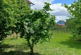 Obiteljska kuća s poslovnim potencijalom, Bjelovar, بيت