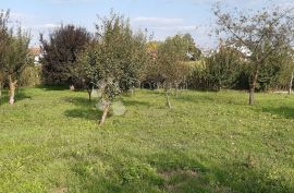 Obiteljska kuća s poslovnim potencijalom, Bjelovar, House