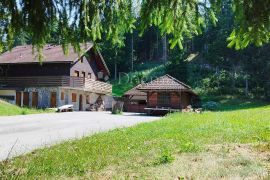 GORSKI KOTAR - PLANINSKA KUĆA NA 20.000 m2 OKUĆNICE, Ravna Gora, House