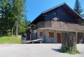 GORSKI KOTAR - PLANINSKA KUĆA NA 20.000 m2 OKUĆNICE, Ravna Gora, House