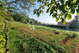 PRILIKA! Građevinsko zemljište u Loborici, Marčana, Land