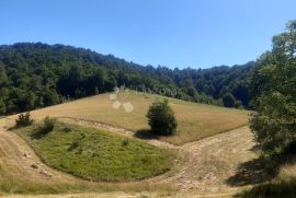 Imanje u Vrbovskom,  kuće,  šuma i livade., Vrbovsko, Kuća