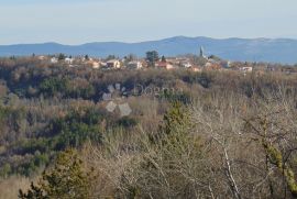 Prostrano zemljište idealno za investiciju, Pazin - Okolica, أرض