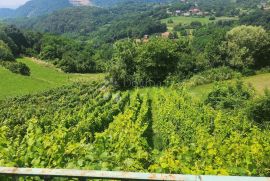 Kljet 50m² sa vinogradom u okolici Pregrade, Pregrada, Ev