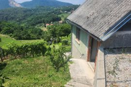 Kljet 50m² sa vinogradom u okolici Pregrade, Pregrada, Ev