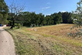 IDEALNO ZEMLJIŠTE ZA OBITELJSKU KUĆU NA POVIŠENOM DIJELU, Pazin, Land